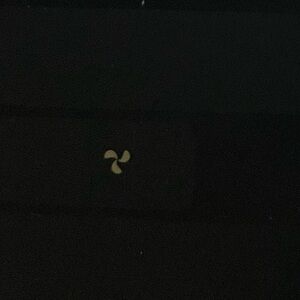 Brandy Melville/ PacSun Northshore Christie Hoodie!🖤